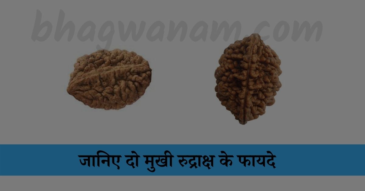 जानिए-दो-मुखी-रुद्राक्ष-के-फायदे-bhagwanam.com