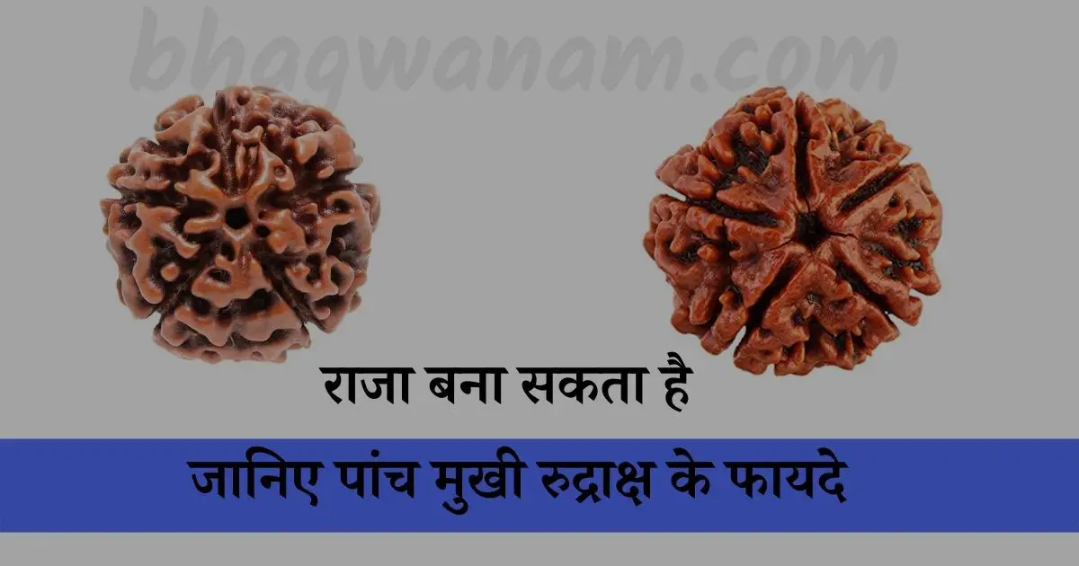 जानिए-पांच-मुखी-रुद्राक्ष-के-फायदे-bhagwanam.com